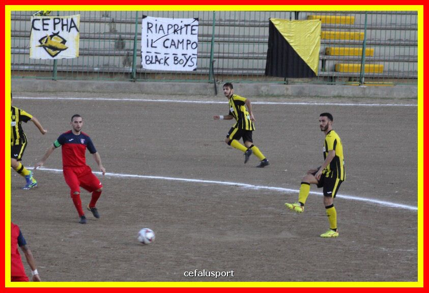 181111 Cepha_Milazzo 092_tn.JPG
